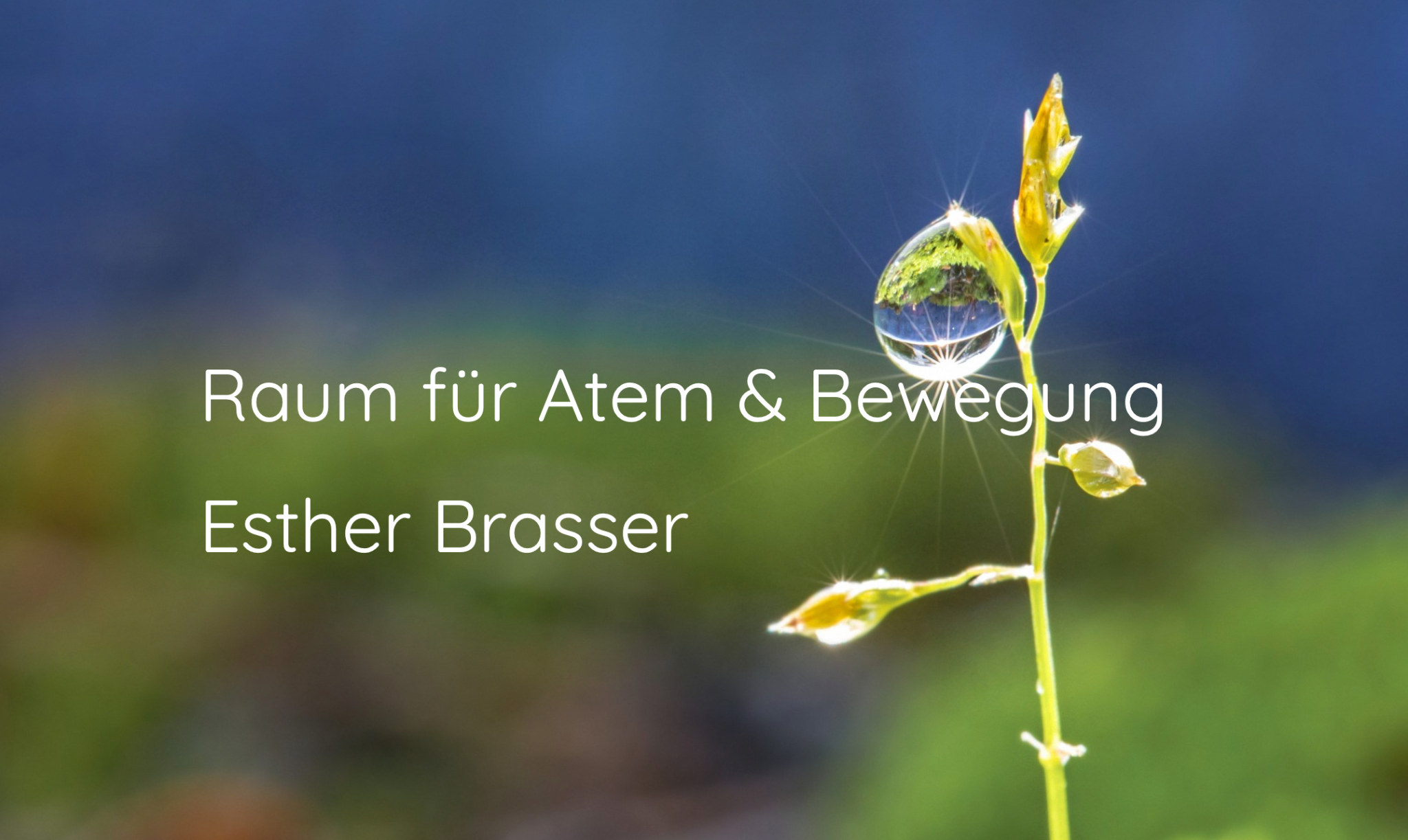 Atemtherapie Brasser